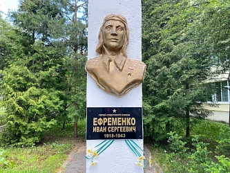 И.С. Ефременко 